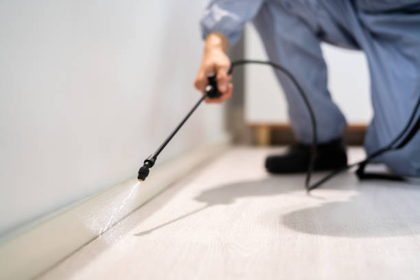 Licensed Rodent Control service in Pasatiempo, CA - Nex Pest Control