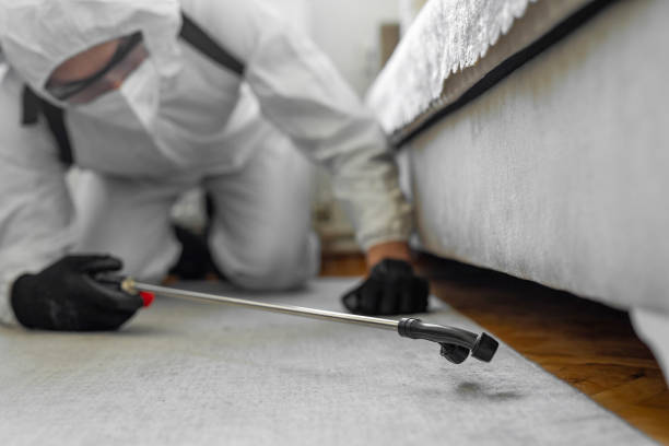 Professional Rodent Control technician working in Pasatiempo, CA