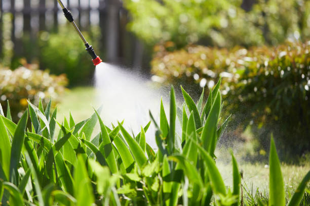 24/7 Emergency Rodent Control experts in Pasatiempo, CA