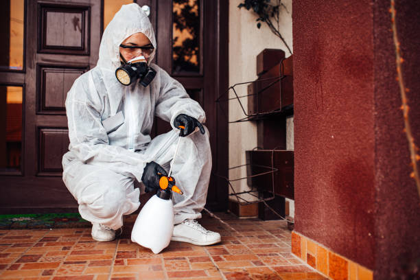 Reliable Rodent Control contractor in Pasatiempo, CA by Nex Pest Control