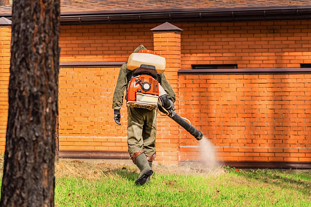 Trusted Fumigation Services service in Pasatiempo, CA - Nex Pest Control